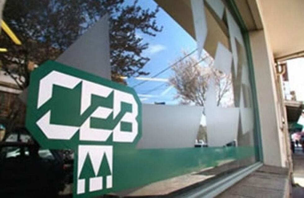 La Cooperativa Eléctrica de Bariloche busca reducir los costos en la boleta de luz