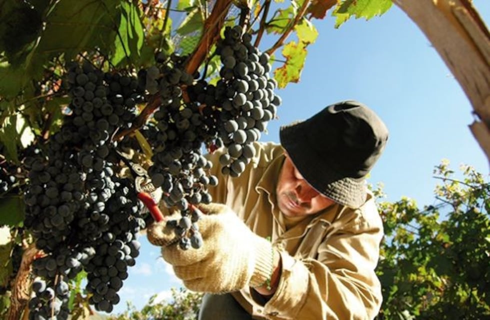 Crecen con fuerza las exportaciones de vino argentino