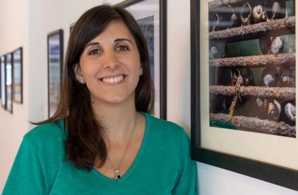 Crean en San Luis un conversor de contaminantes orgánicos que elimina toxicidad del aire