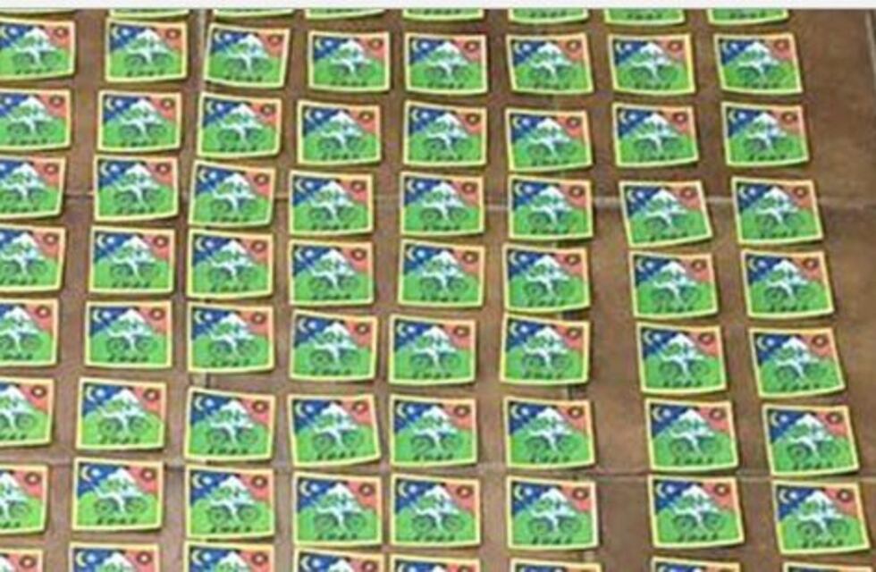 Narcotráfico: secuestraron 65 mil dosis de LSD en Beccar