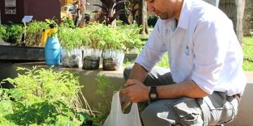 Desde la Biofábrica entregaron plantines en Oberá\u002E