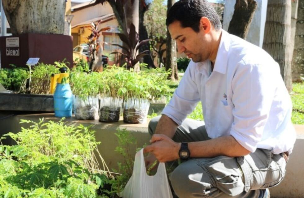 Desde la Biofábrica de Misiones repartieron plantines nativos