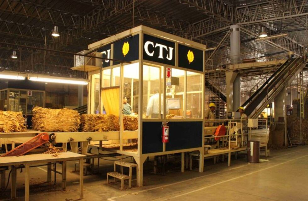 La industria pagará 287,83 pesos cada kilo de tabaco jujeño