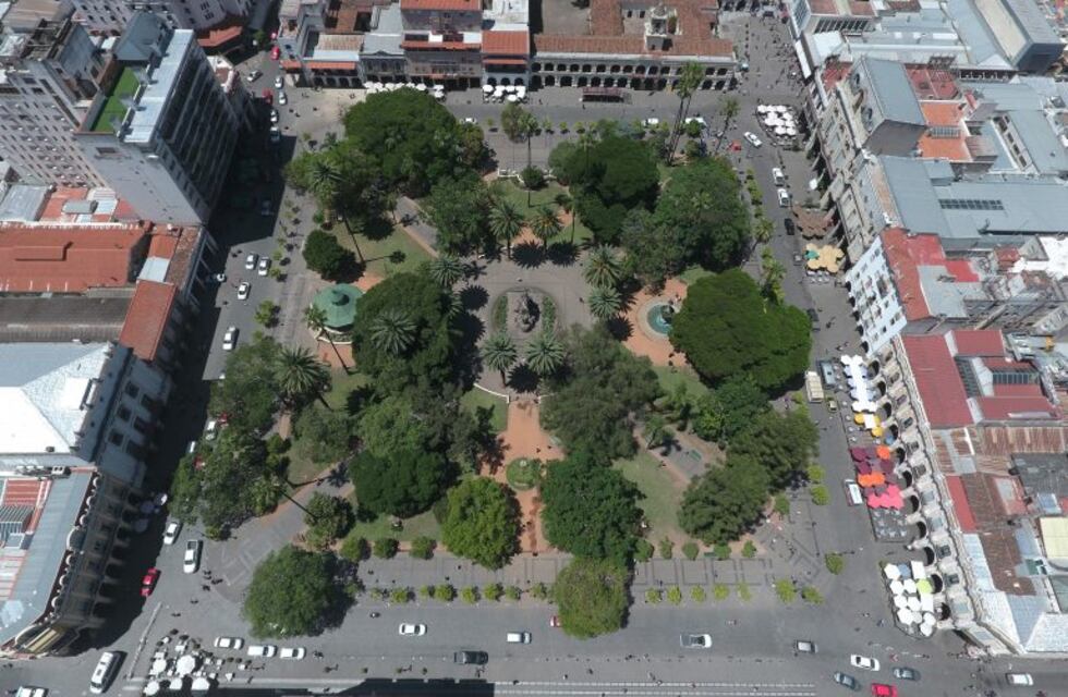 Niños aprendieron sobre árboles en la plaza 9 de Julio