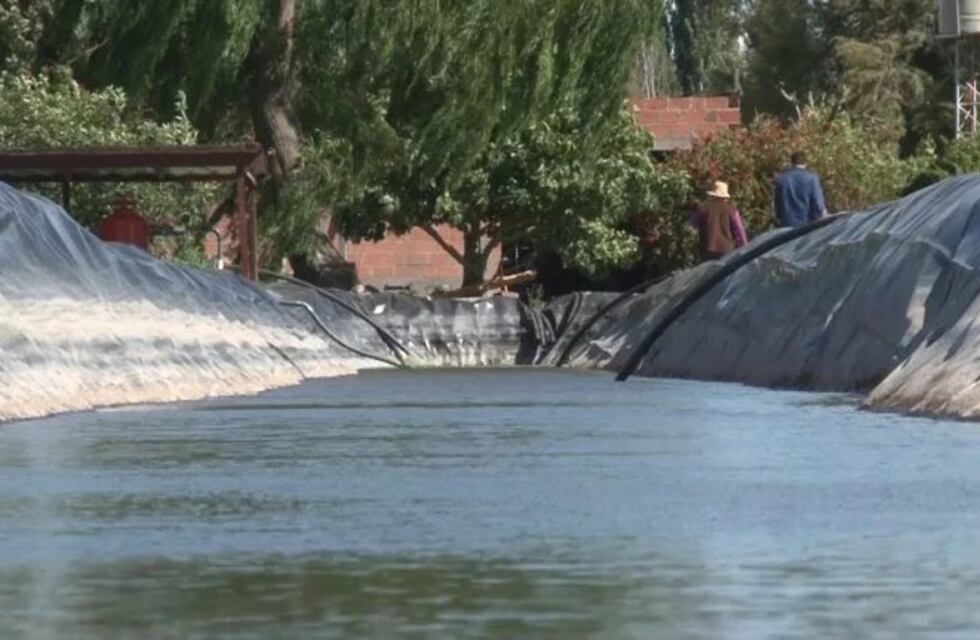 Está en terapia intensiva una bebé que cayó a un reservorio de agua en Caucete