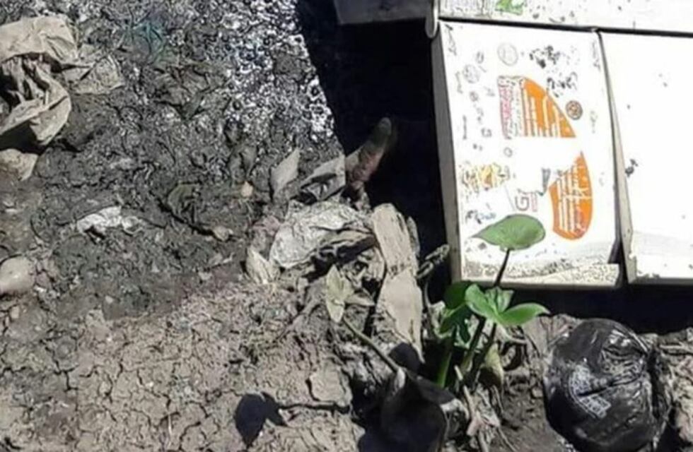 Dictaron perpetua para el femicida que mató a su mujer y escondió el cadáver en una heladera