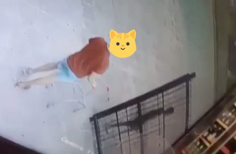 ¿Robo o travesura? Se llevaron un changuito y quedaron grabados en las cámaras