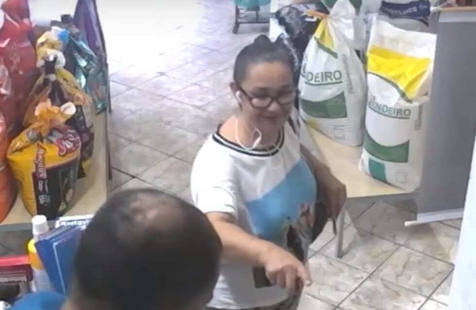 Ladrón con plumas: fue a pagar y un pájaro le robó la plata