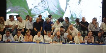 El PJ denunció que el Gobierno alista \