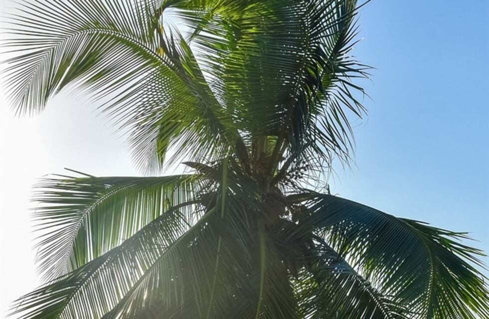 Costa Rica el país que cada vez atrae más a los turistas