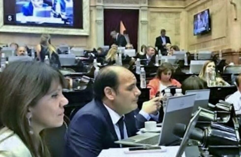 Saadi: "Era menos malo aprobar el presupuesto que darle el manejo discrecional a Nación"