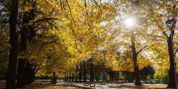 Desciende la temperatura este jueves en Mendoza.