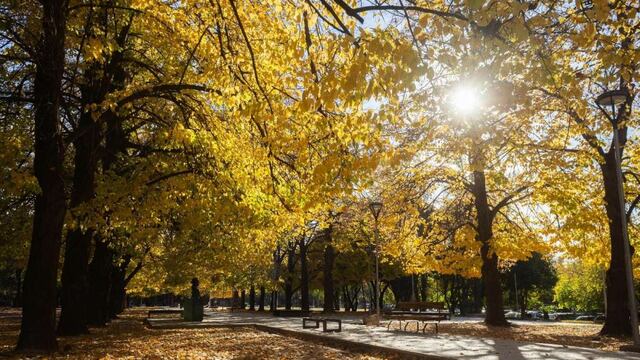 Desciende la temperatura este jueves en Mendoza.
