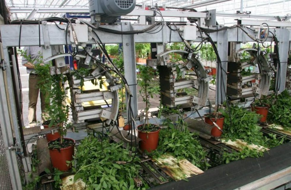 Estudiantes fueguinos recibieron un reconocimiento nacional por su proyecto en robótica "Vivero Automatizado"