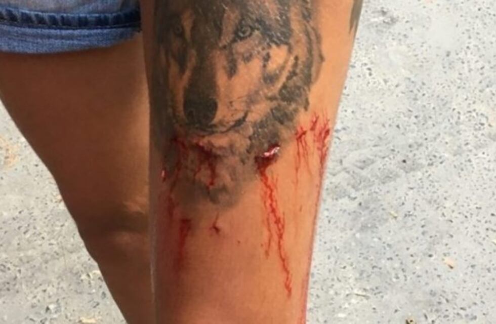 Escalofriante: una turista filmó cómo la atacó un cocodrilo