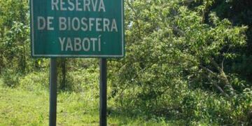 Biósfera Yabotí