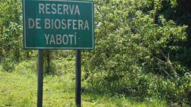 Biósfera Yabotí