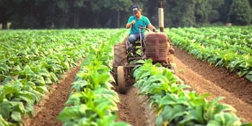 produccion Misiones\u002E