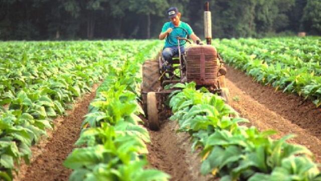 produccion Misiones\u002E