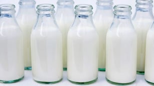 La empresa productora de una diversa cantidad de productos lácteos fue clausurada en pleno feriado.