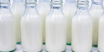 La empresa productora de una diversa cantidad de productos lácteos fue clausurada en pleno feriado.