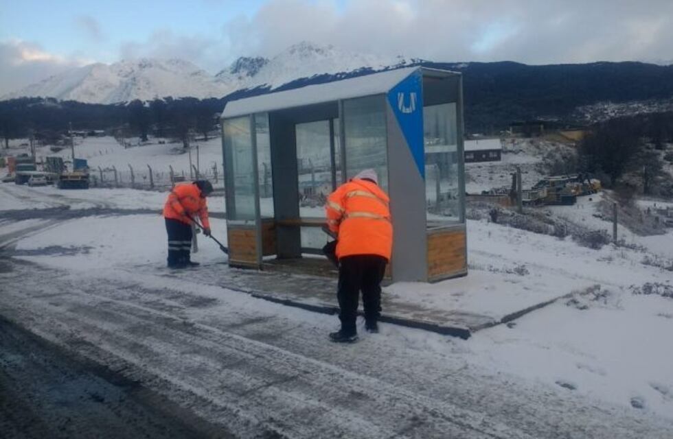 Las cuadrillas municipales manteniendo limpia la ciudad