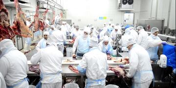 DIVERSIFICACIÓN. La inversión se hará en la planta de Casilda de Rafaela Alimentos (Imagen ilustrativa - Nicolás Bravo/Archivo)