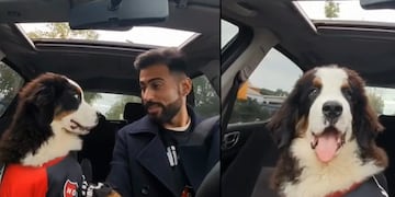 Kiko, el perrito de Newell's que se hizo viral en TikTok