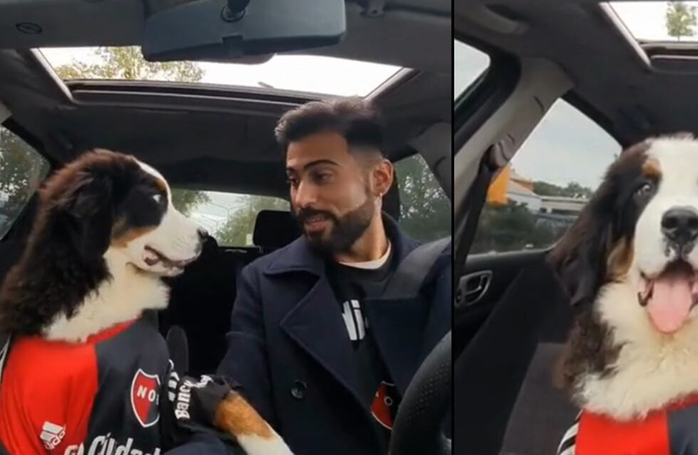 Video viral: Un joven rosarino viajó con su “perrito leproso” y llenó de ternura el TikTok