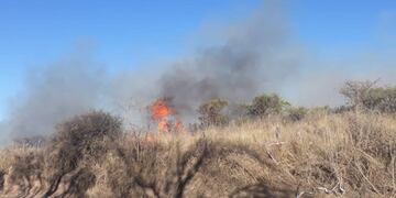 La intensidad del viento complica las tareas. Es en la zona de Pozo del Tigre. (Benita Cuellar)