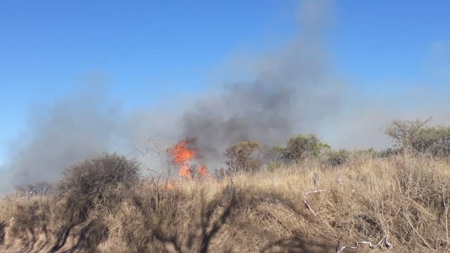La intensidad del viento complica las tareas. Es en la zona de Pozo del Tigre. (Benita Cuellar)