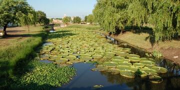 Laguna Arguello Resistencia
