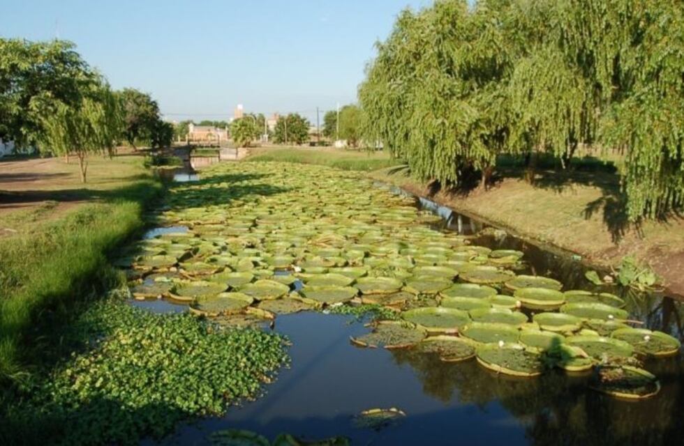 El sol brilla a pleno en Resistencia