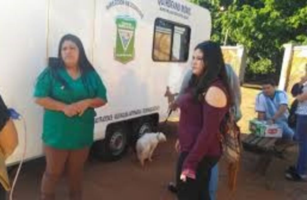 Realizarán castraciones de mascotas gratis en Iguazú
