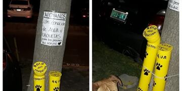 Comedero para perros en Rosario