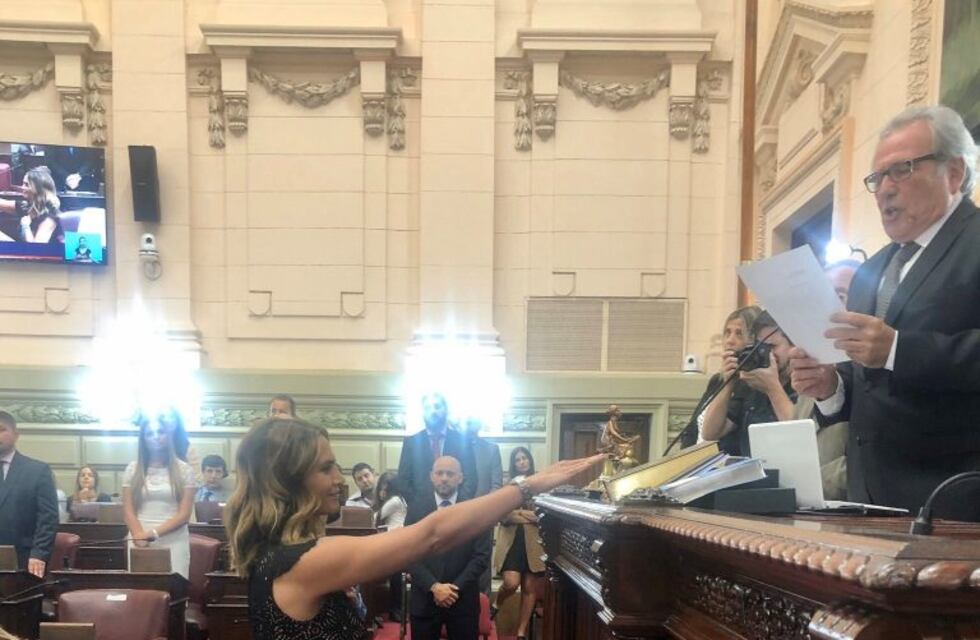 Amalia Granata juró como diputada provincial "defender la vida en todas las etapas"