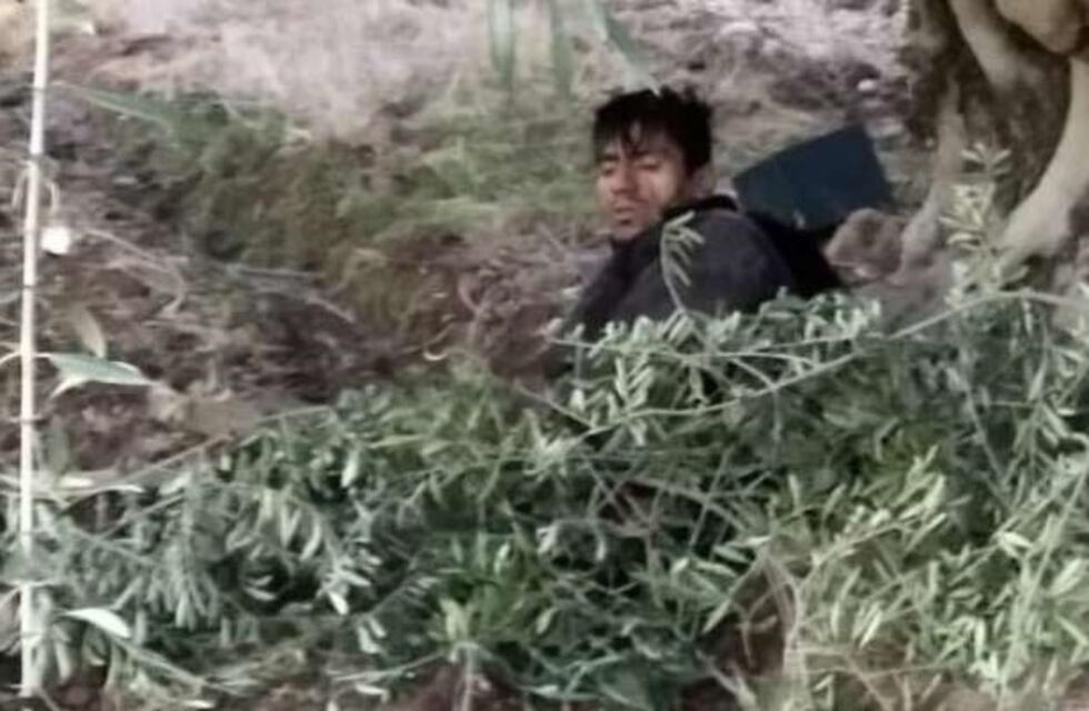 Se escondió entre ramas el presunto asesino del comerciante de Maipú