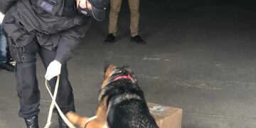 En el paquete la mujer llevaba 13 kilos de marihuana\u002E