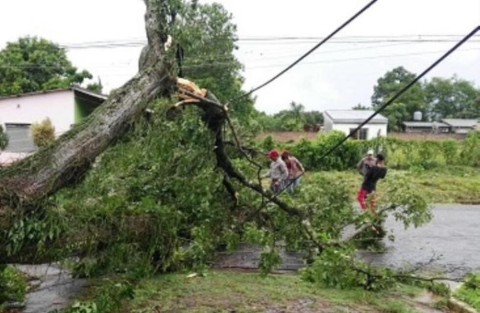 Un temporal en Misiones dejó dos heridos y varias localidades sin luz