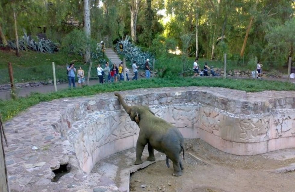 Trasladaron más de 250 especies del ex zoo de Mendoza