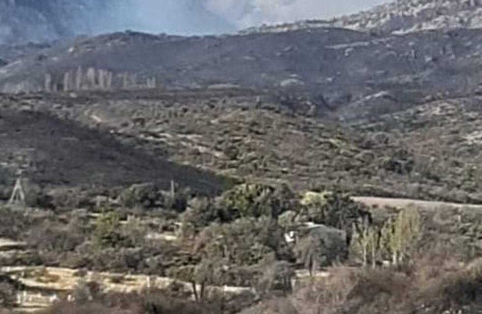 Incendios en San Luis: Volvieron a controlar las llamas en Villa Larca y sigue grave la situación en Papagayos