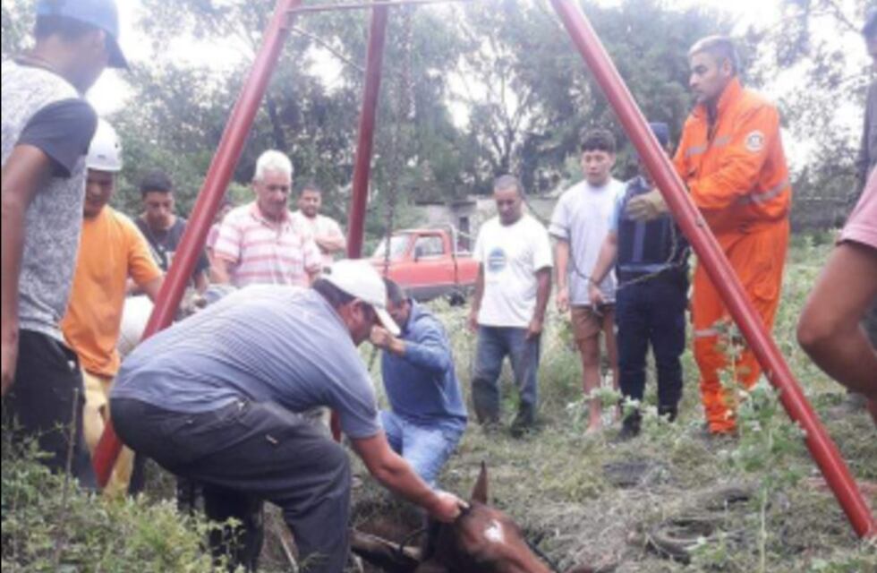 Unquillo: Bomberos Voluntarios rescataron a un caballo que había caído en un pozo