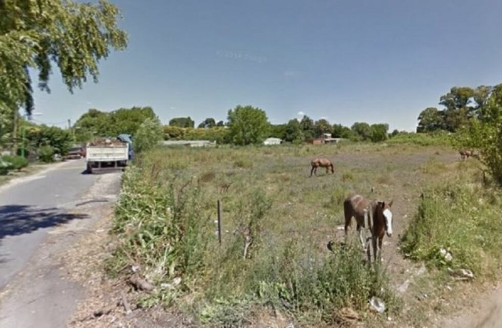 Encontraron el cuerpo de un bebé calcinado en un terreno baldío de La Plata