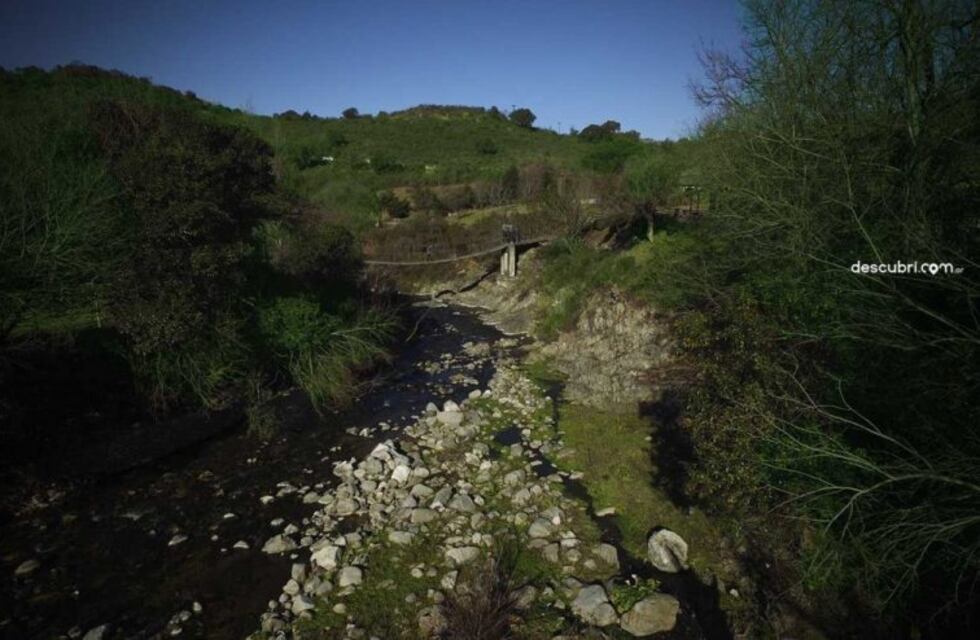 Córdoba lanza un programa provincial de forestación