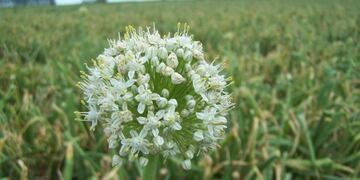 La firma de convenio se realizó en Casa de Gobierno\u002E