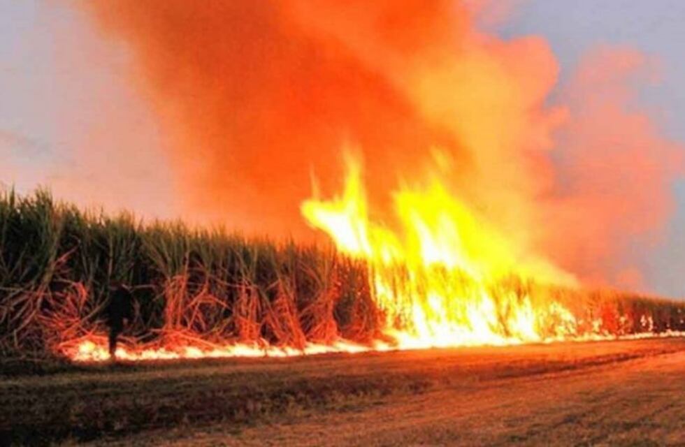Se registraron 30 focos de incendio en Tucumán