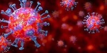 Gualeguaychú en situación de conglomerado -\nCrédito: Web