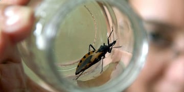 Mal de chagas