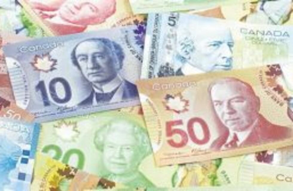 Cómo son los billetes de plástico que podrían llegar al país