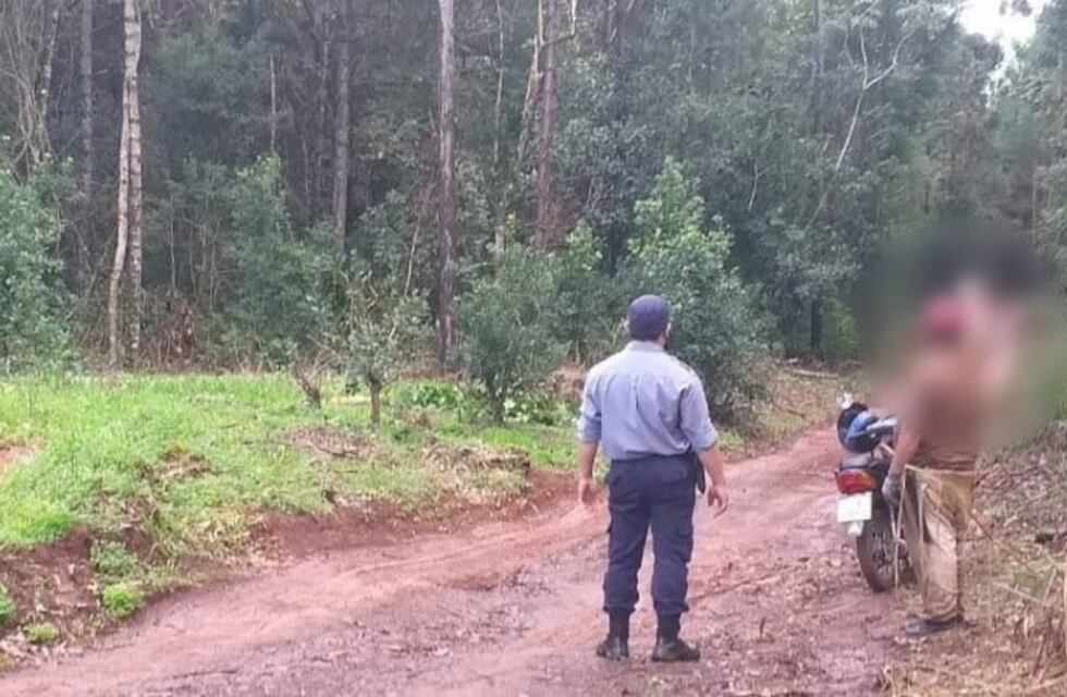Recuperan hojas de yerba mate robadas e identifican a los ladrones